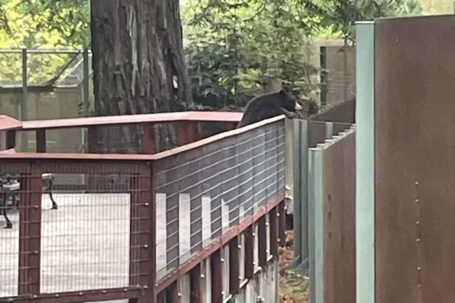 e8f868f8269ec5a6777e564a894f632a